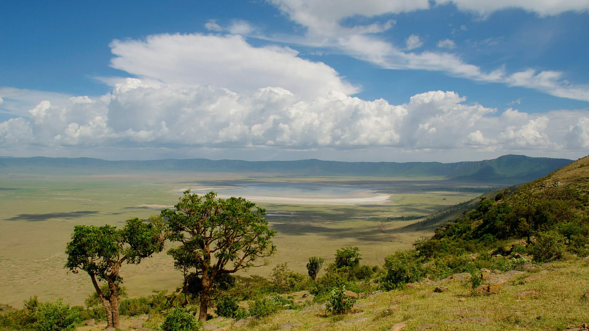 Maskani Kilimanjaro Expeditions