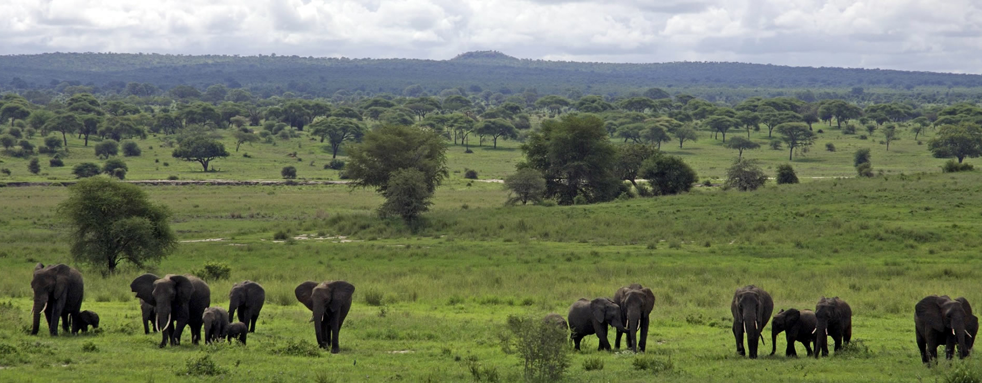 Maskani Kilimanjaro Expeditions