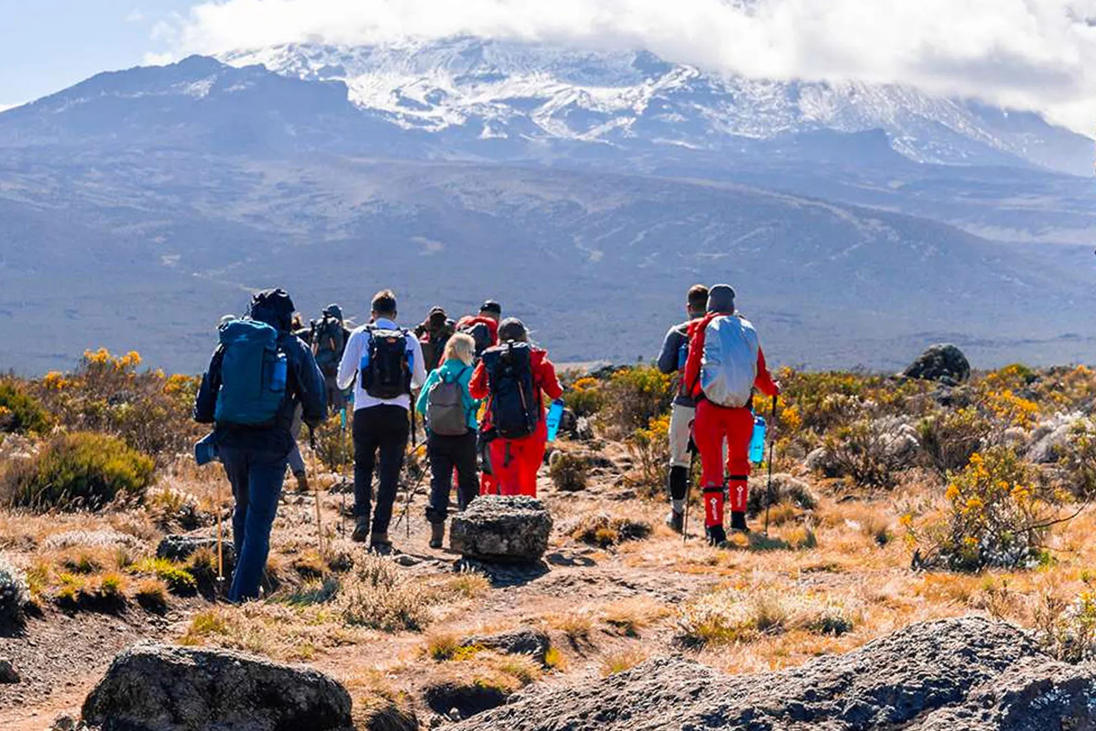 Maskani Kilimanjaro Expeditions