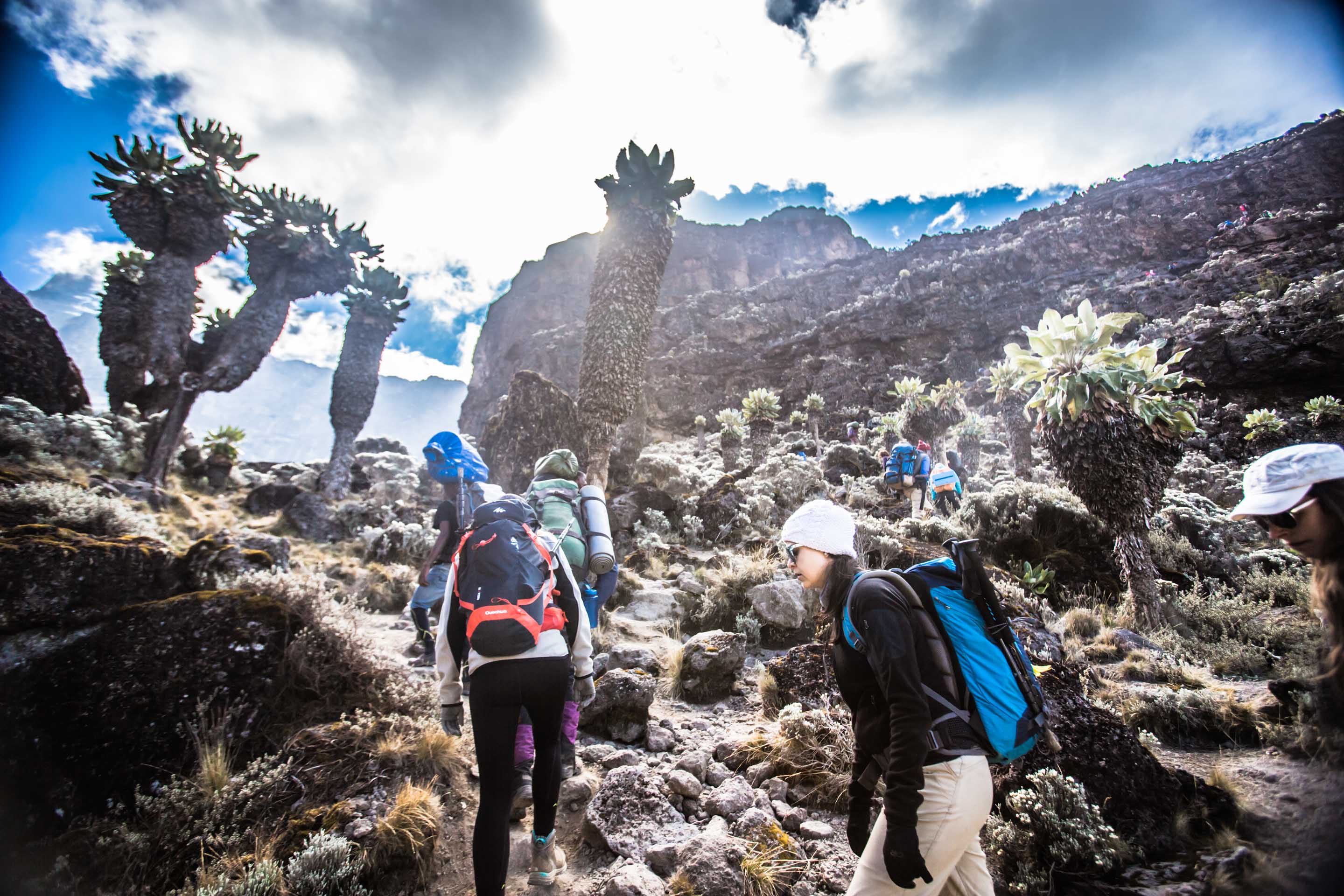 Maskani Kilimanjaro Expeditions