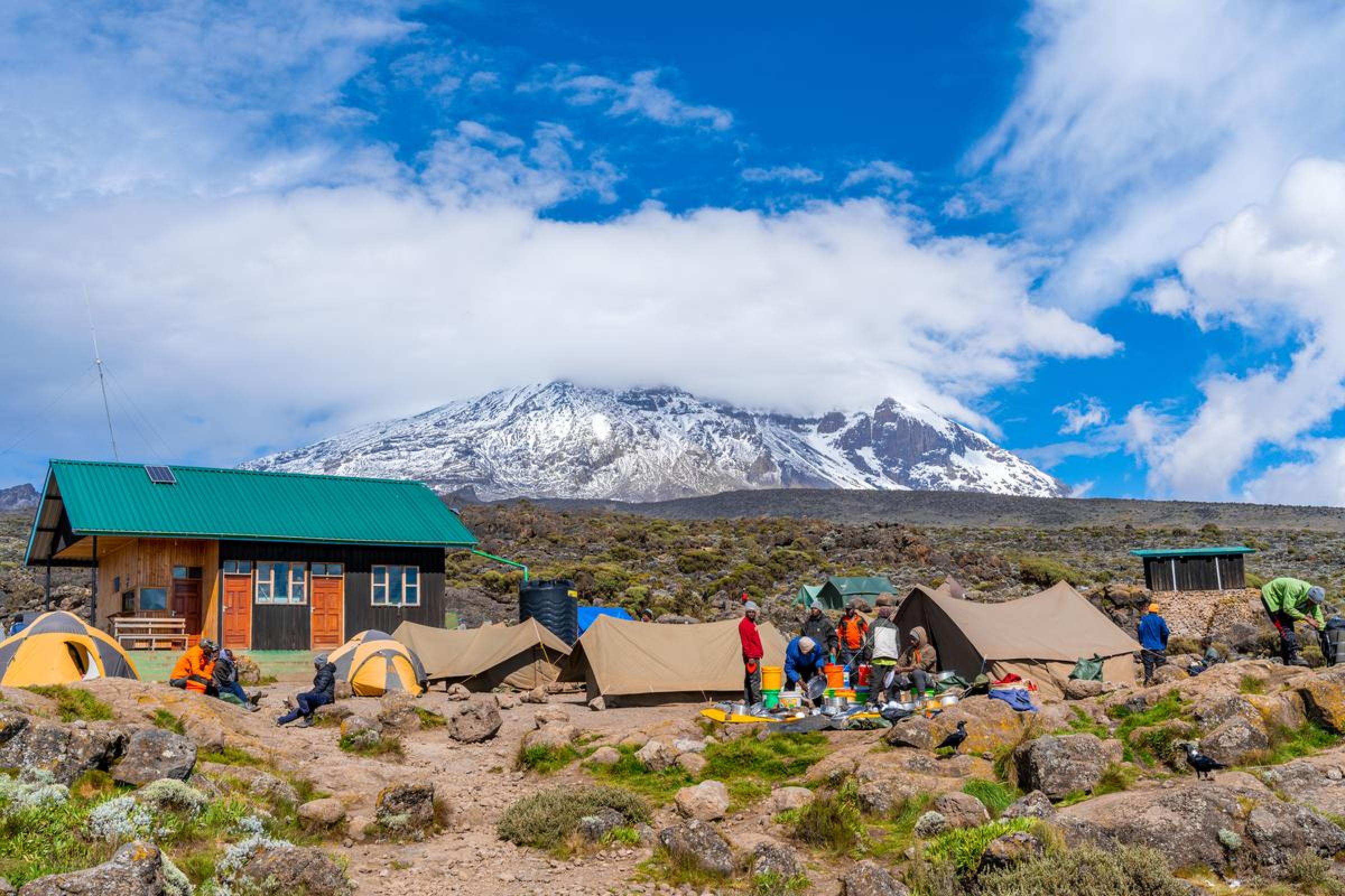 Maskani Kilimanjaro Expeditions